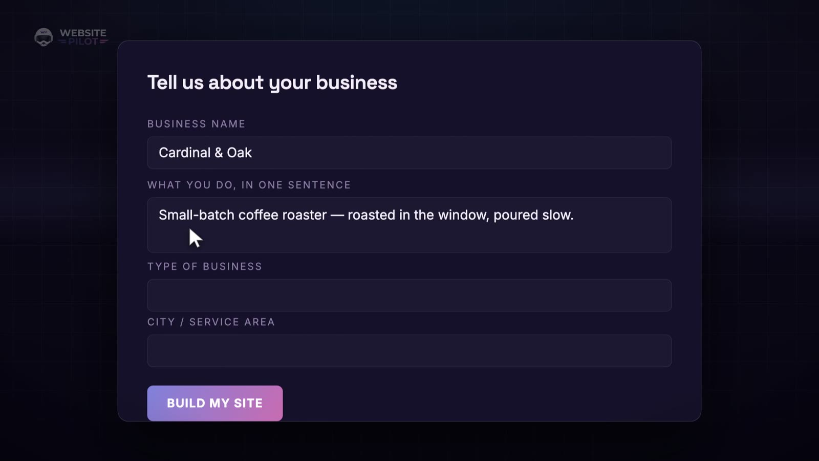 The Website Pilot form: business name, what you do in one sentence, type of business, city